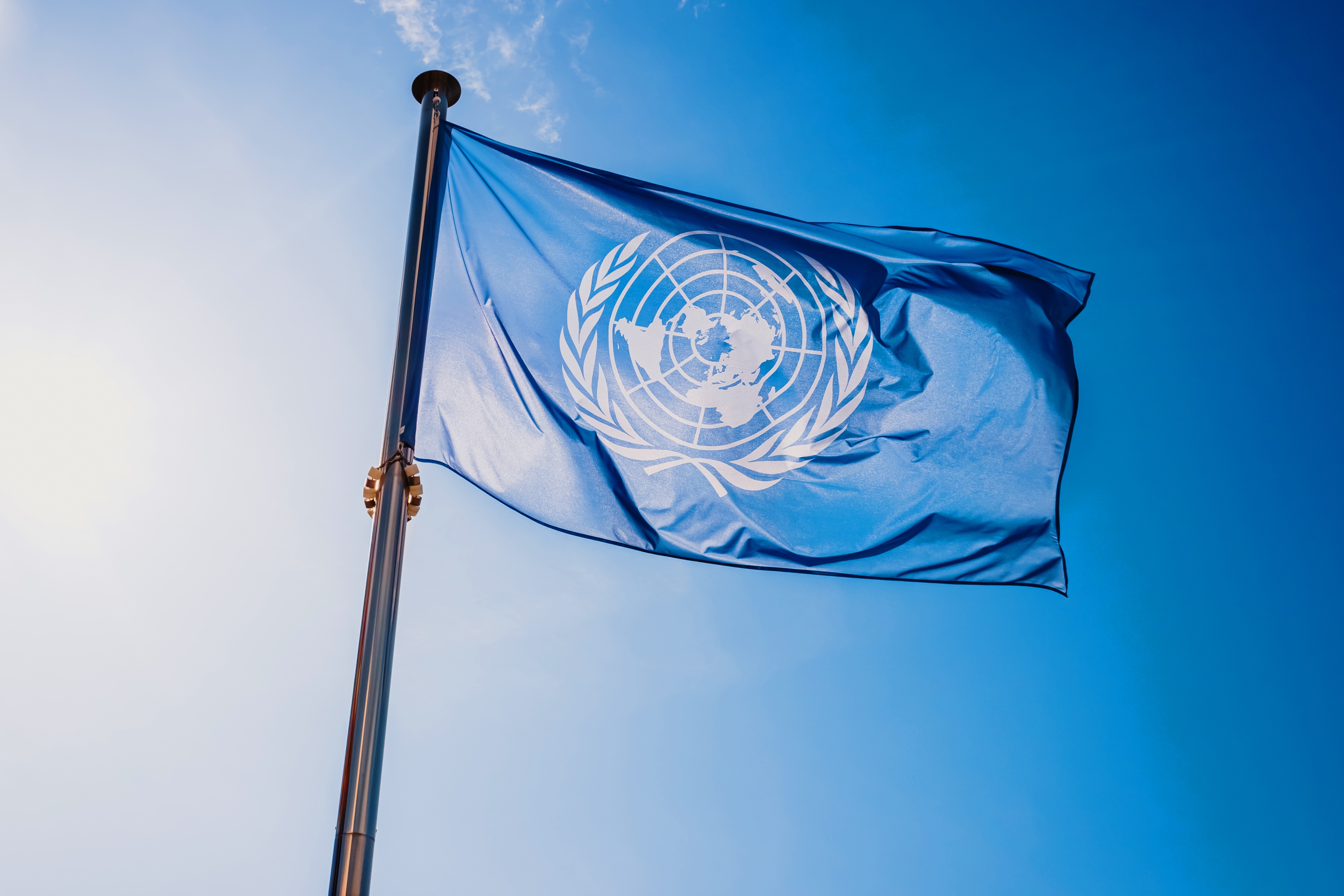 UN FLag.jpg